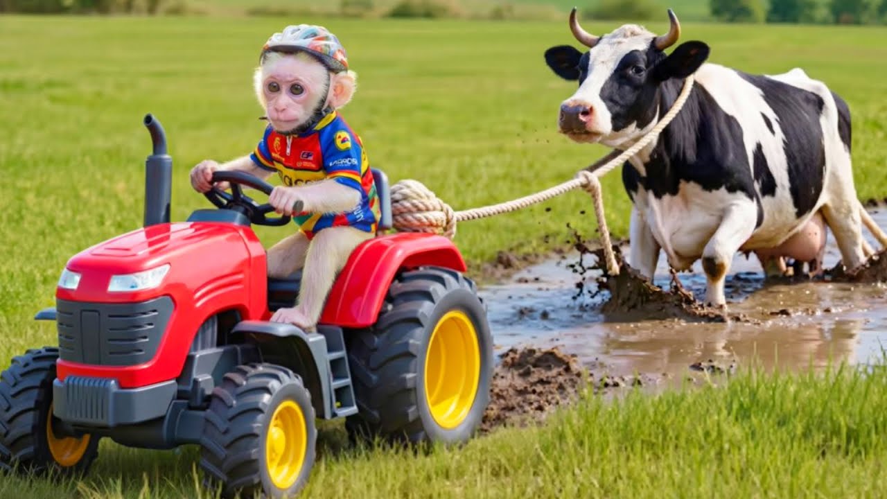 Kira's Farm Adventure: The Chaotic Day & The Genius Cow Rescue
