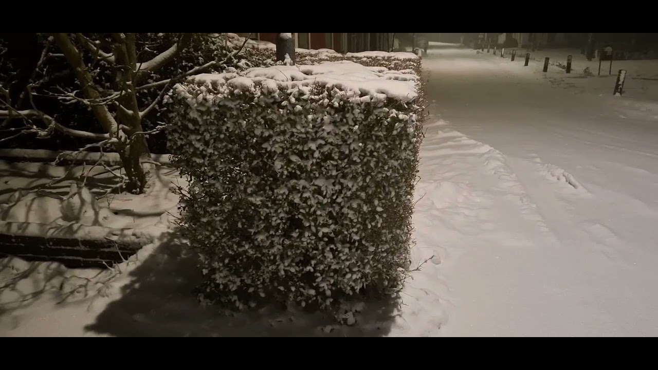 Borgsweer, ( gr) sneeuwval met harde N O.wind. 9 jan.2026 07.00u