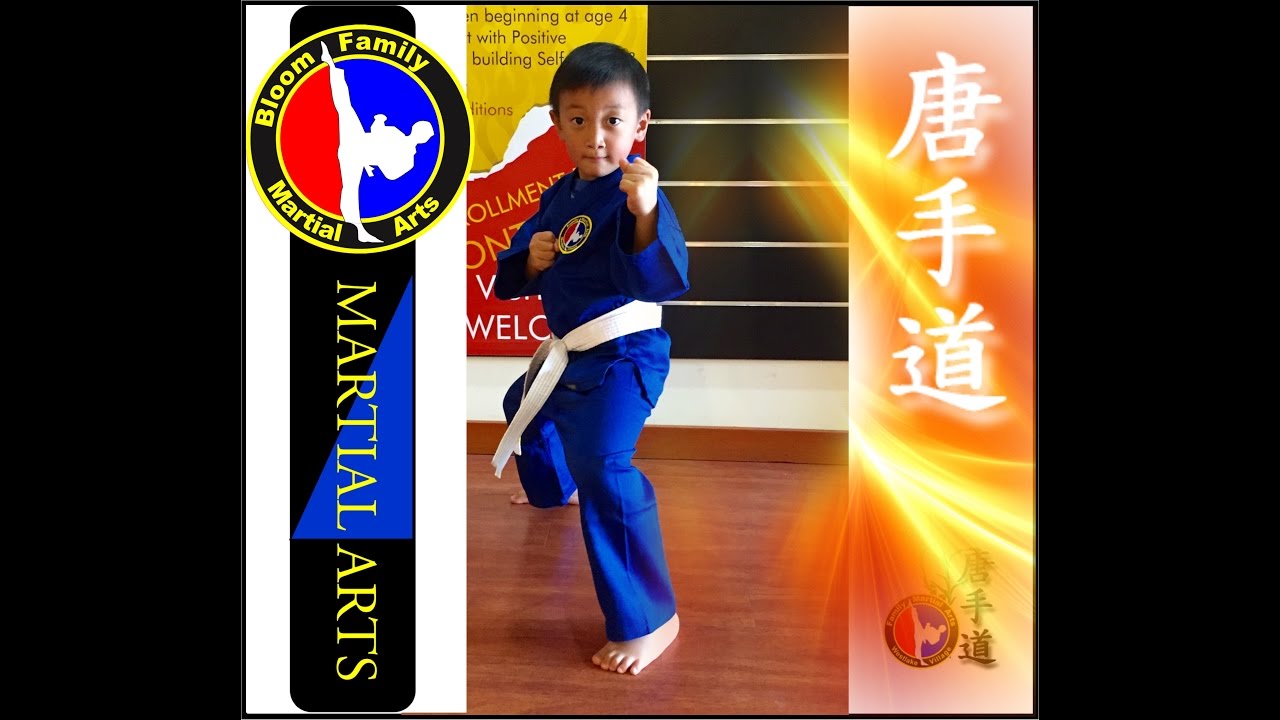Tang Soo Do My Style Hwang Kee, Chuck Norris and Tom Bloom