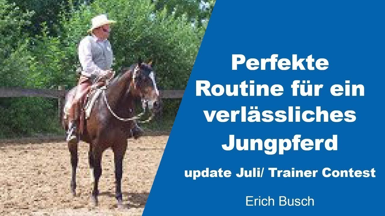 Perfekte Routine für ein verlässliches Jungpferd| Erich Busch | Trainer Contest 2021 Update Juli