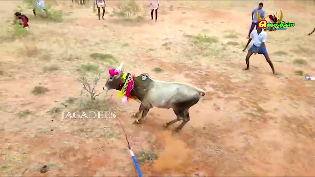 #வெள்ளலூர்_நாடு_K_K_C_வில்லன்