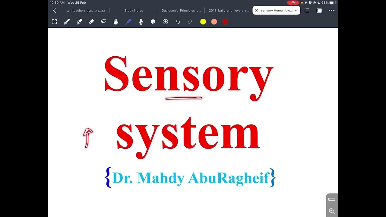 Sensory nervous system