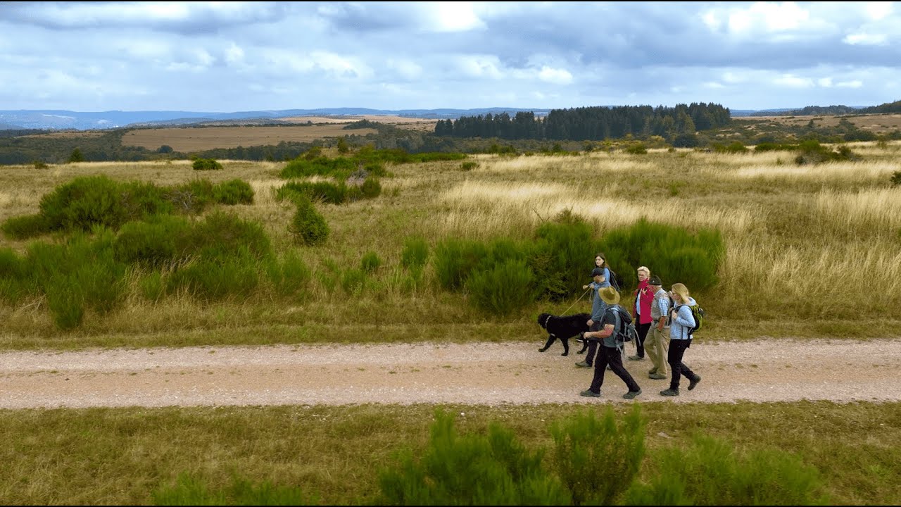 Höchstpersönlich! Wildnis auf Wunsch bei Waldführungen im Nationalpark Eifel 🌳