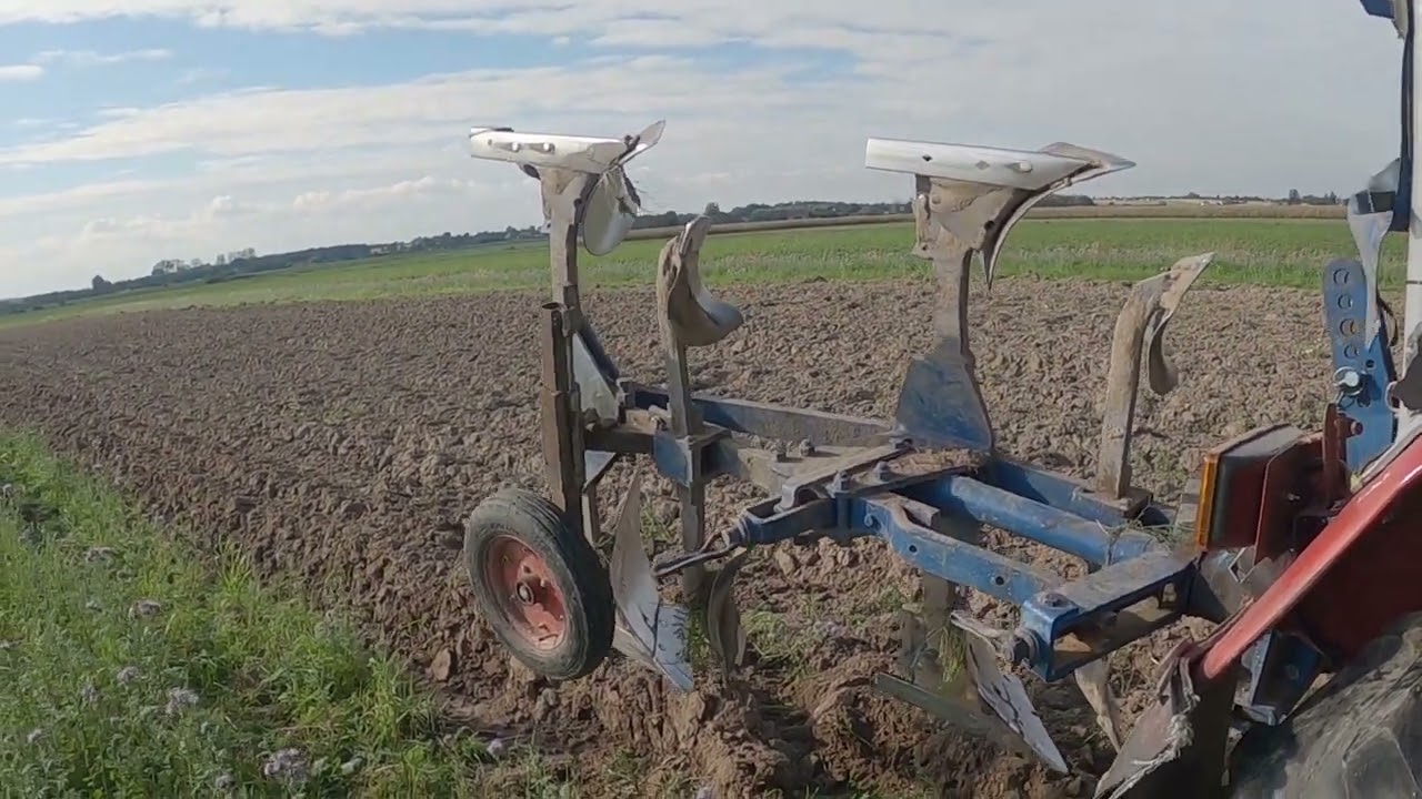 Orka pod oziminy facelia leci pod pług dziewczyna na sterami ursusa