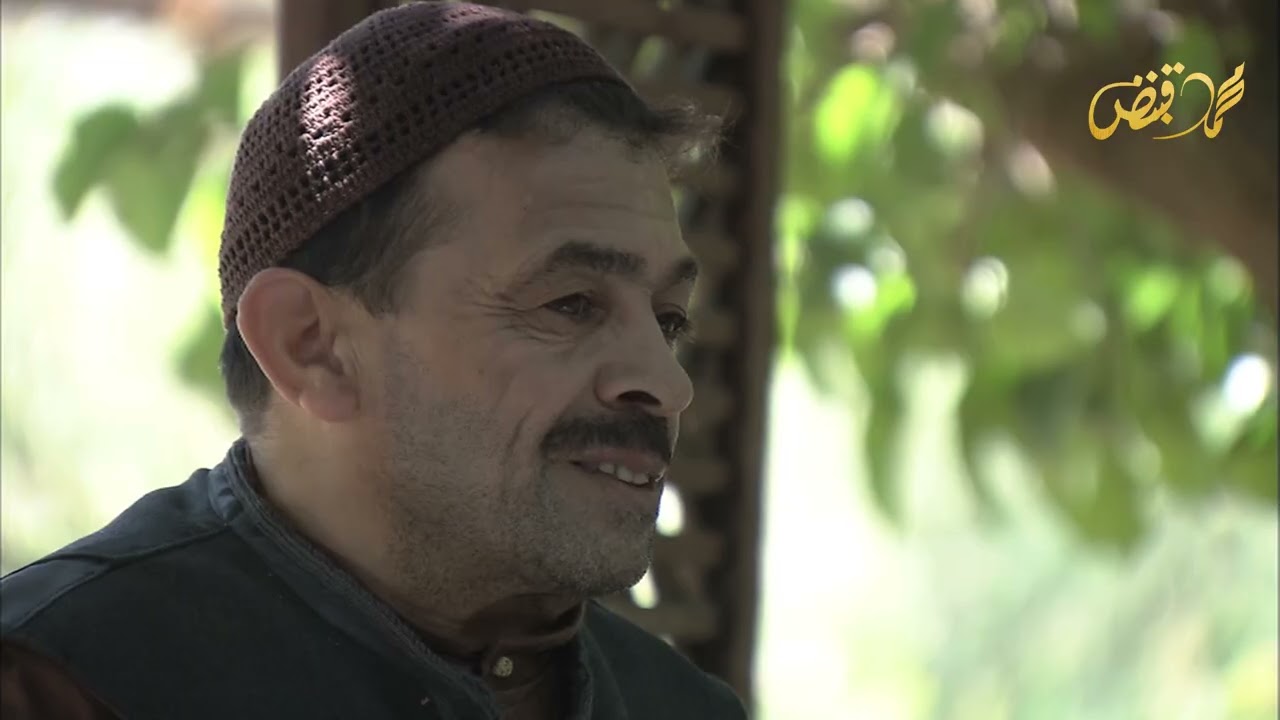 أجمل حلقات زمن البرغوث