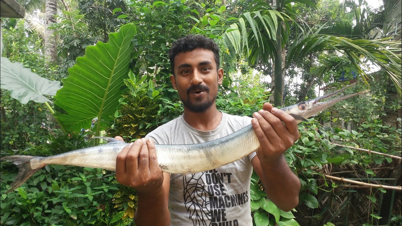 NEEDLE FISH full grill || NEEDLE FISH recipe in village || on home make oven #needle_fish