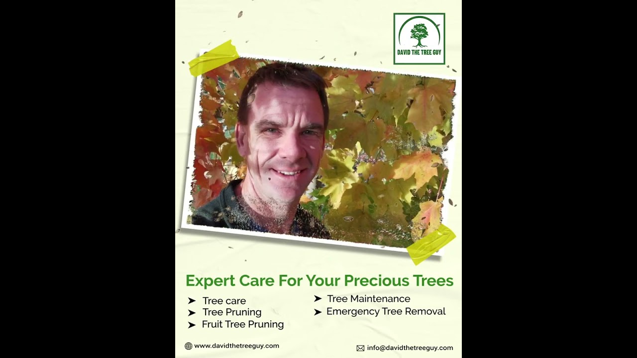 Tree Pruning Service | Fruit Pruning in Edmonton | Emergency Tree Removal in Edmonton, Alberta 🌳