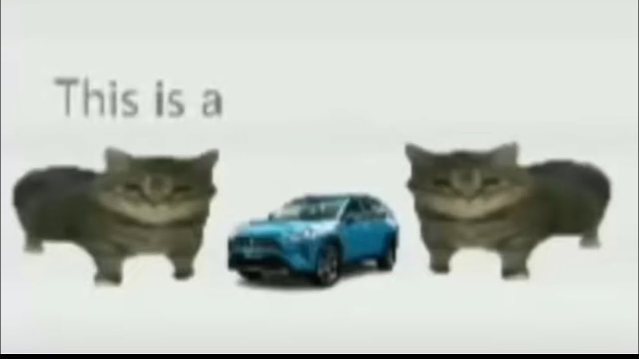 Toyota 🚙