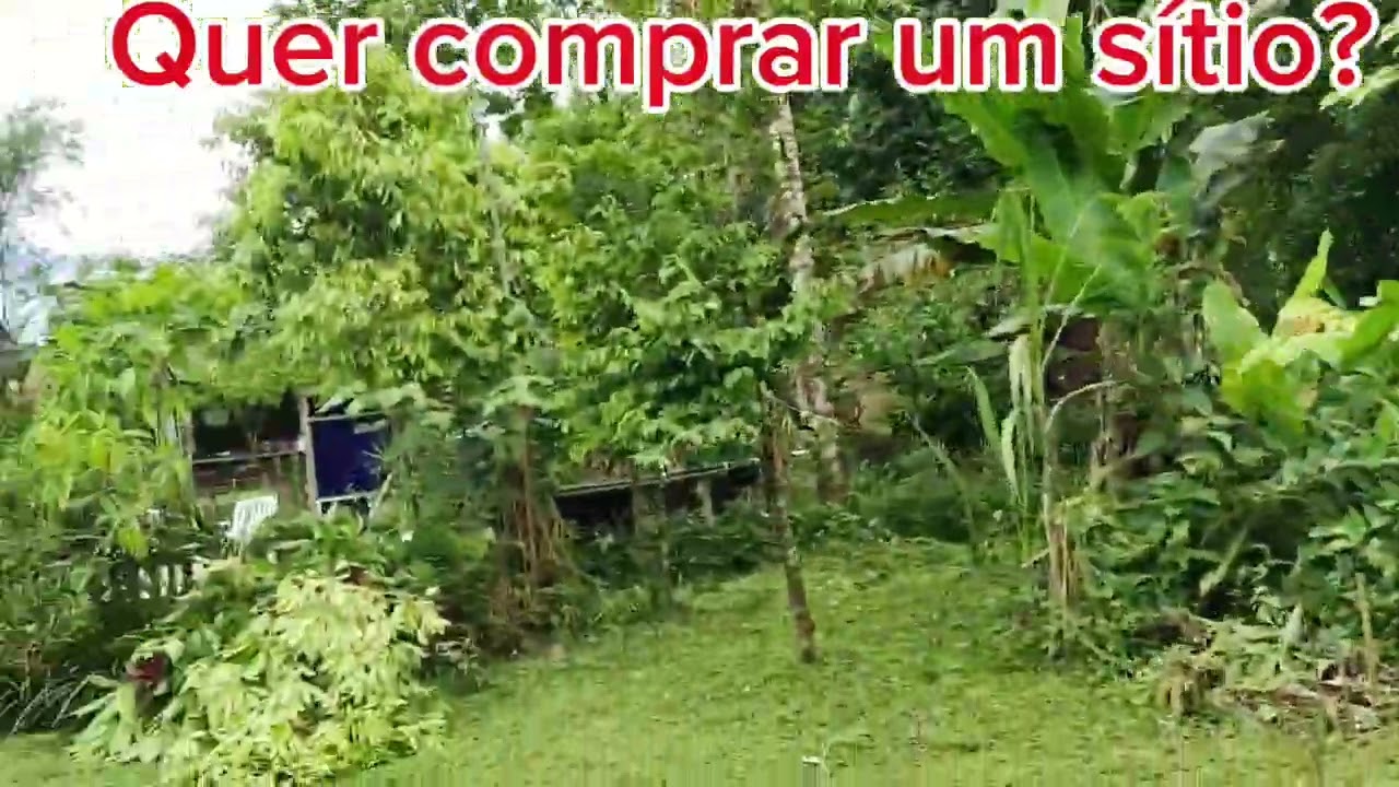 Quer comprar um sítio?