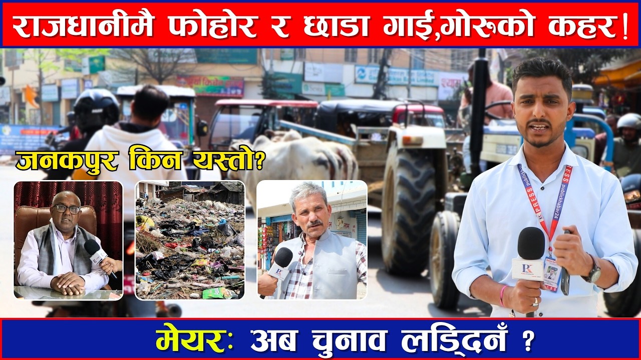 जनकपुर फोहोर संकट | छाडा गाई–गोरुको आतंक | Mayor Speaks Out