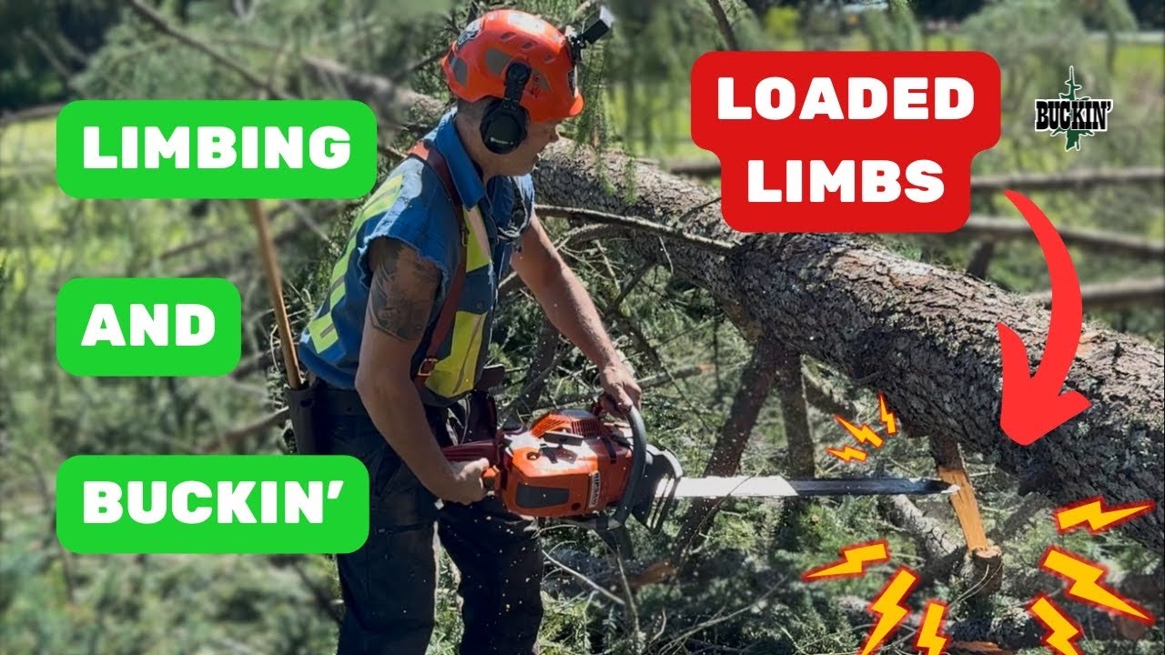 Don’t Get Caught!. De-escalating a loaded situation