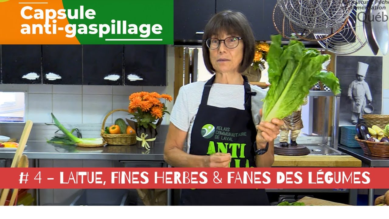 Capsule anti gaspillage # 4 - Laitue, fines herbes & fanes des légumes