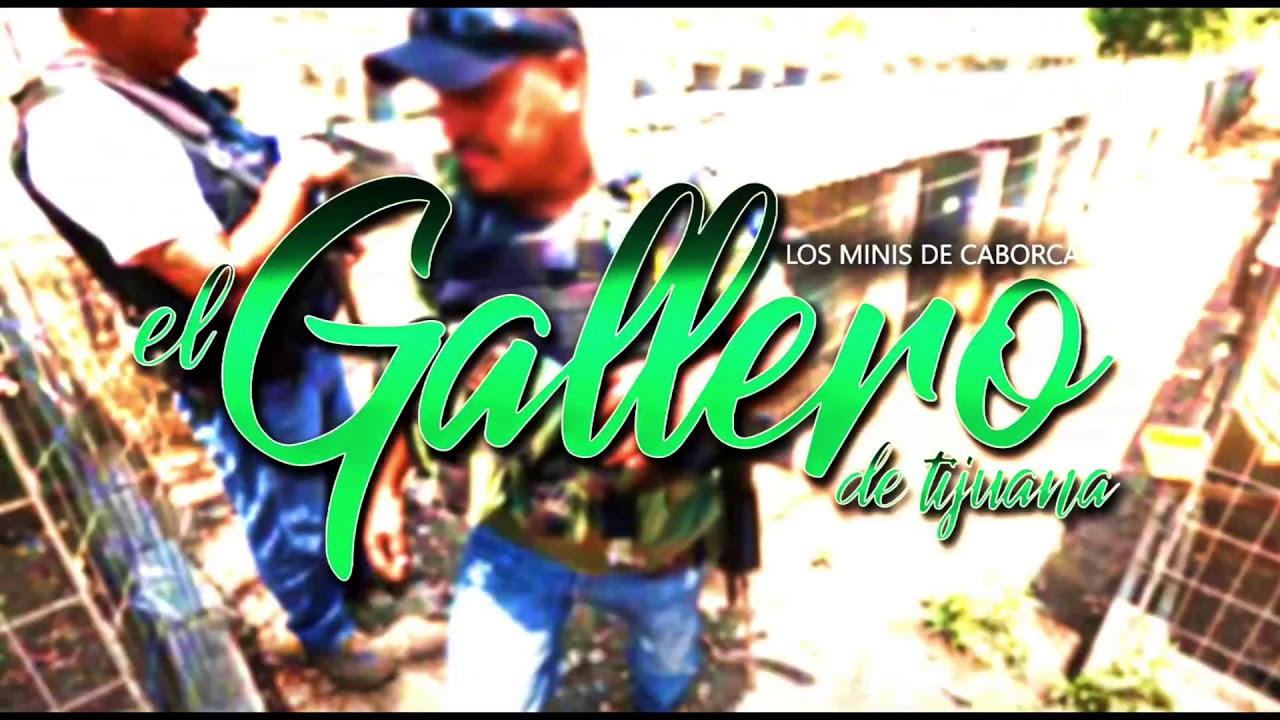 Los minis de caborca-El gallero de Tijuana (corridos 2018)