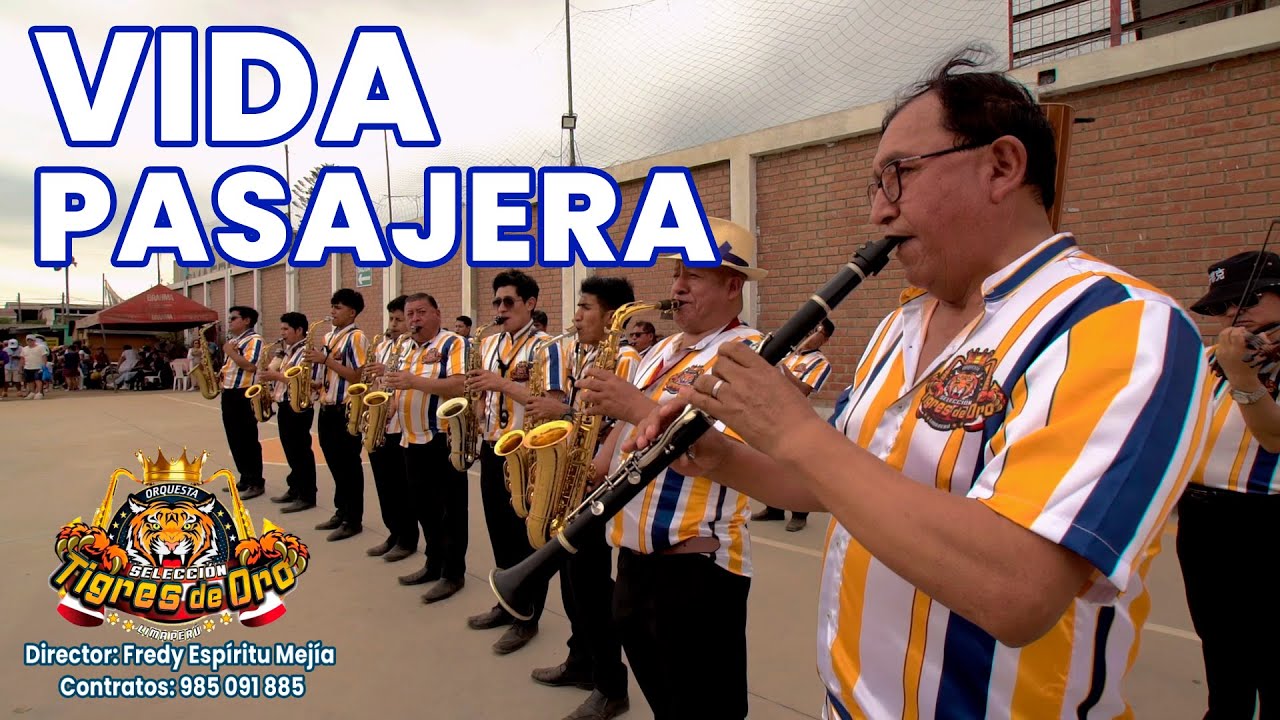 ORQUESTA SELECCION TIGRES DE ORO - VIDA PASAJERA TUNANTADA