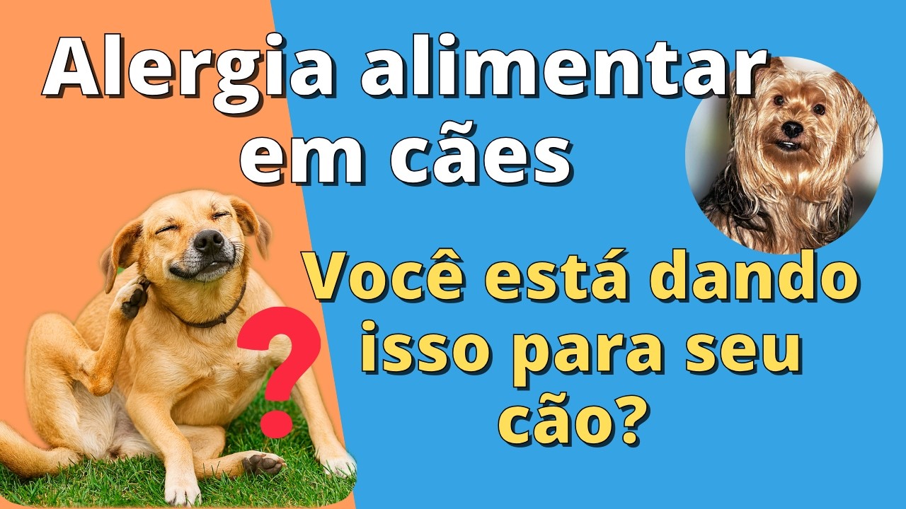 Seu Cachorro Tem Alergia Alimentar? Descubra Agora!