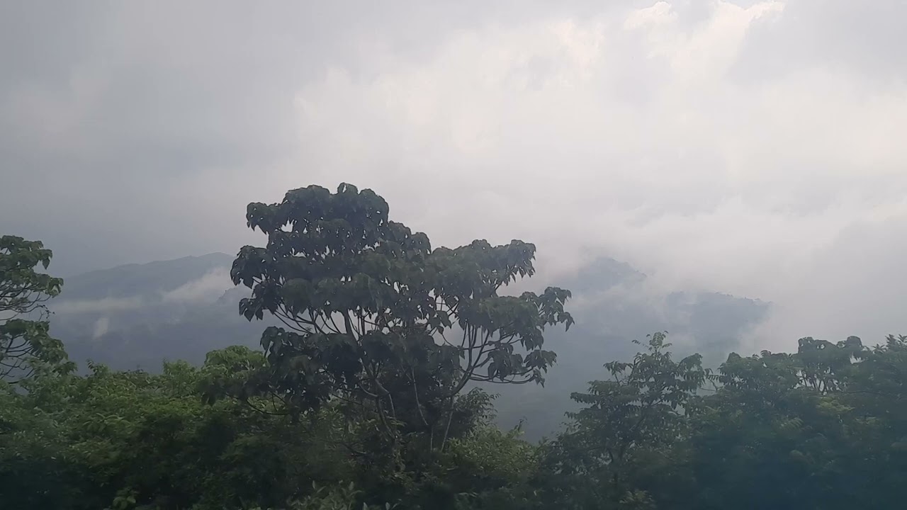 Unwind in Nature's Paradise: Sakleshpura's New Weekend Hotspot  #monsoon #weekend #tranding #nature