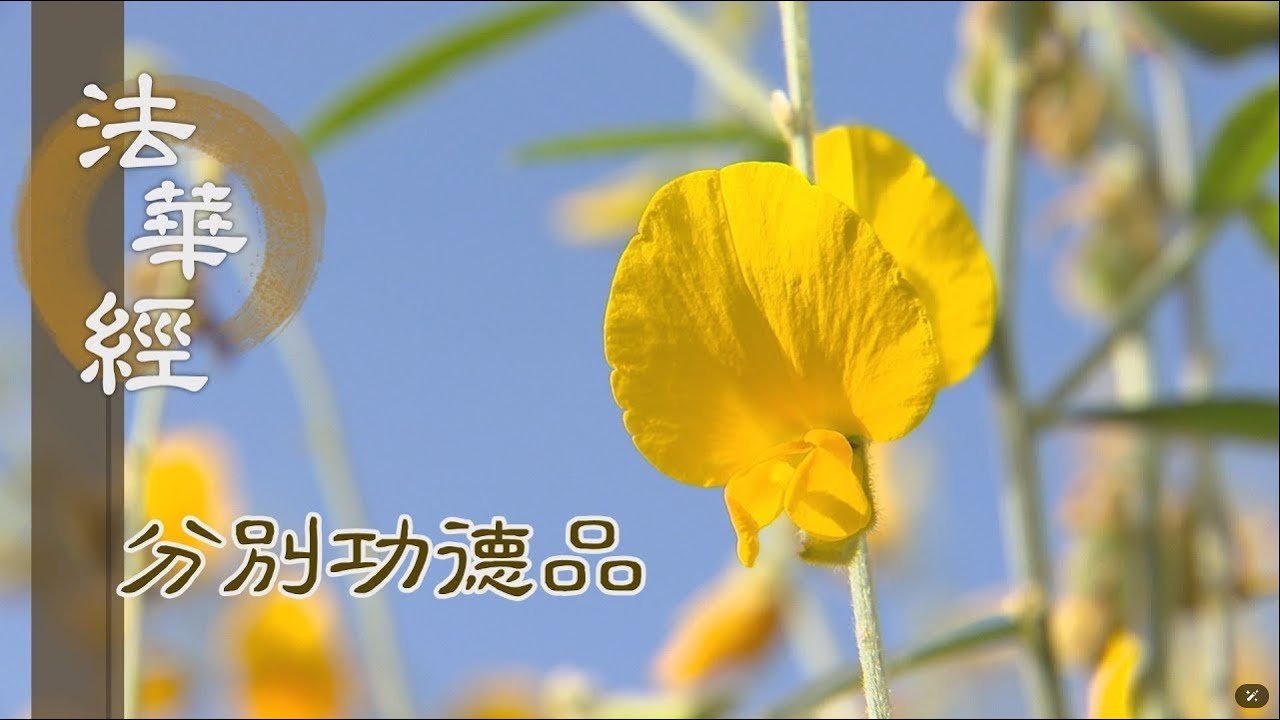 【靜思妙蓮華】 《法華經 分別功德品》- 一念信解 功德無量 - 第1578集 20231229