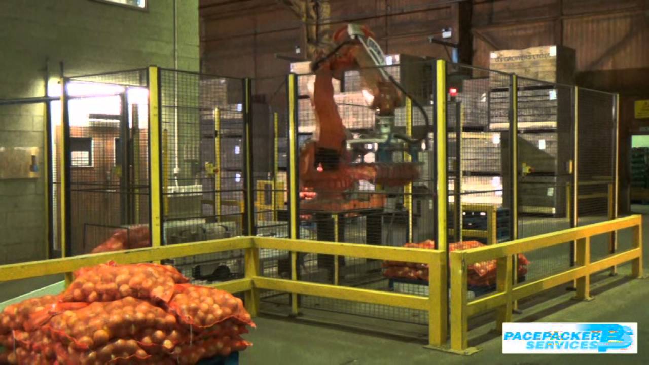 ABB Robot Palletiser for Nets of Onions
