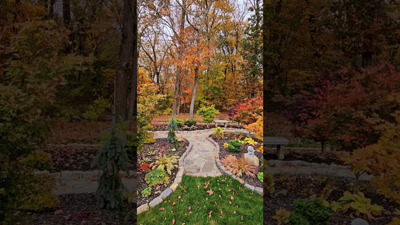 Fall in New England 🍂🍁🌾 My backyard and garden. #gardentour #fall