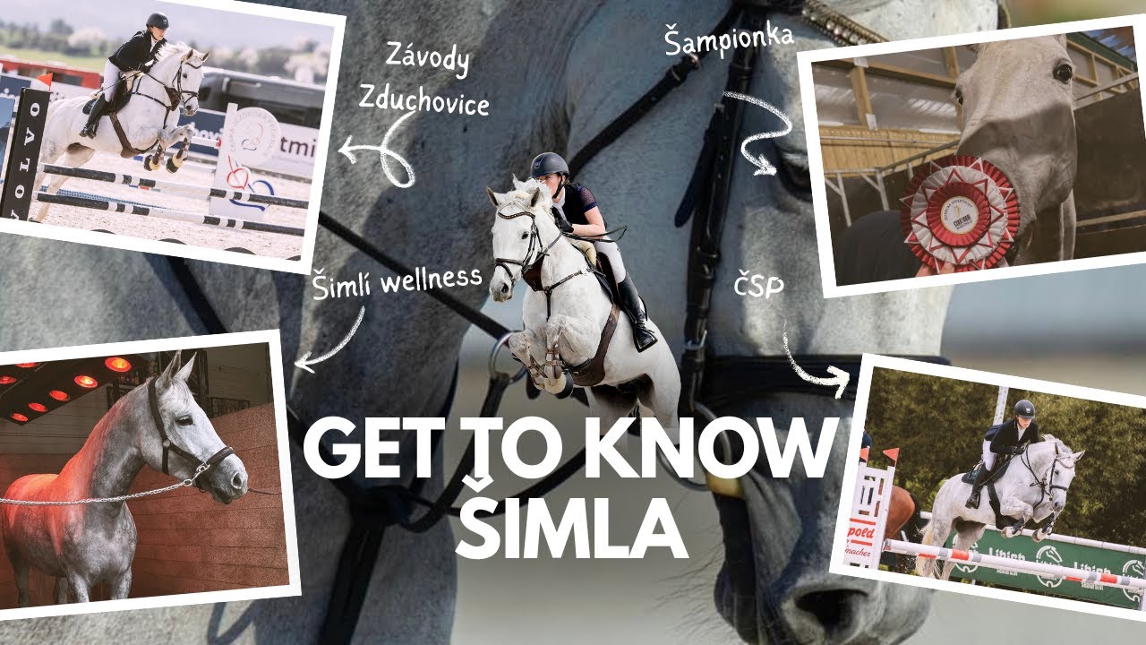 VLOGMAS #4✨ GET TO KNOW ŠIMLA 🤍 | 20 faktů o BUBLINCE
