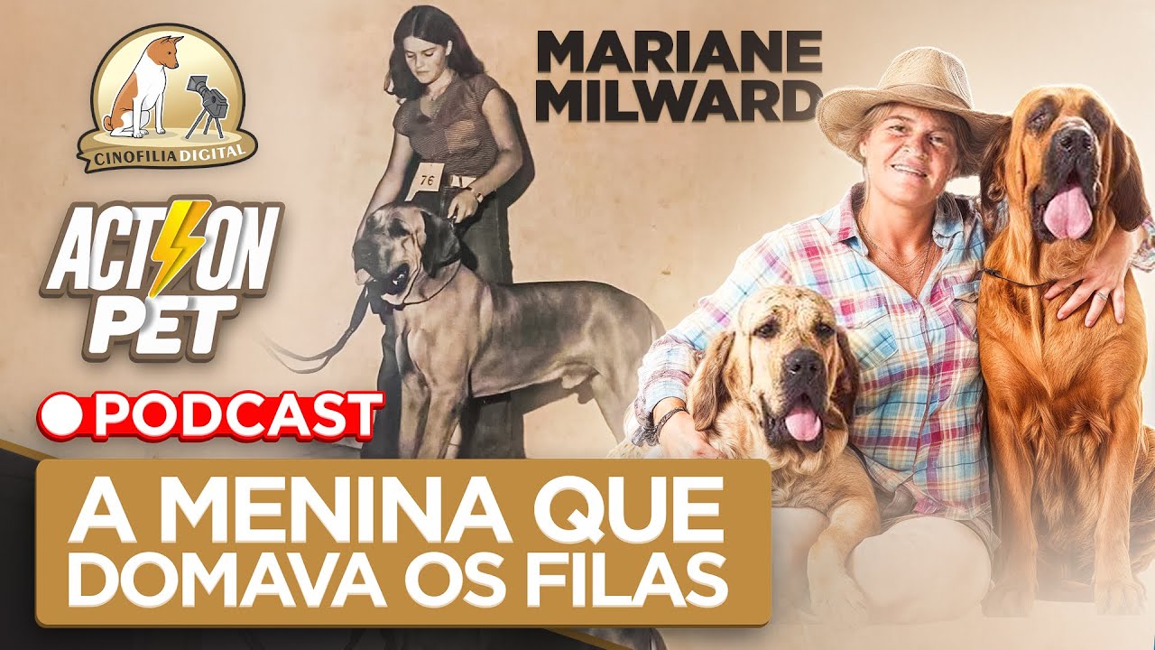 Mariane Milward Fila Brasileiro Canil da Cachoeira | Cinofilia Digital