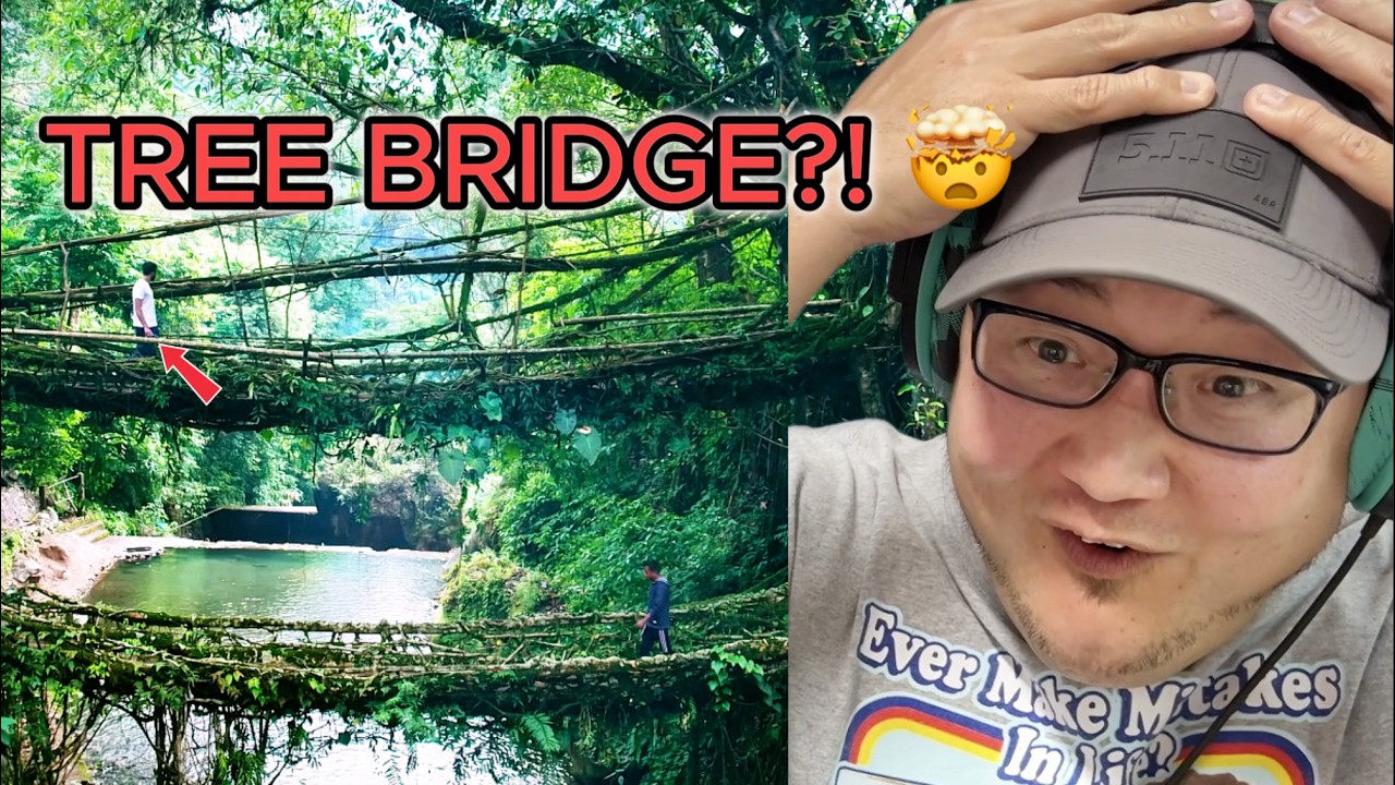 American Reacts to Living Root Bridges?! 🤯 | Meghalaya (Sohra, Cherrapunji & Shillong)