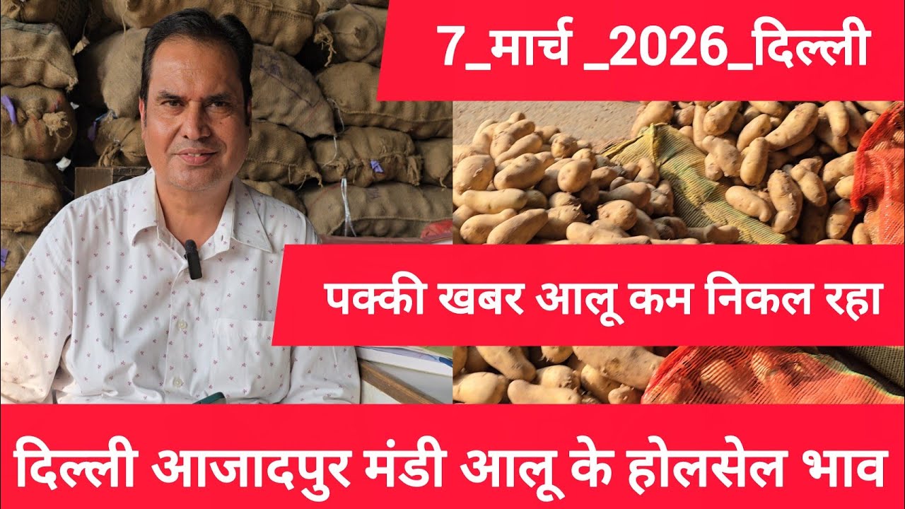 March 7, 2026 दिल्ली 🥔आलू के भाव Azadpur Delhi mandi today #PotatoMarket #delhipotatomarket 