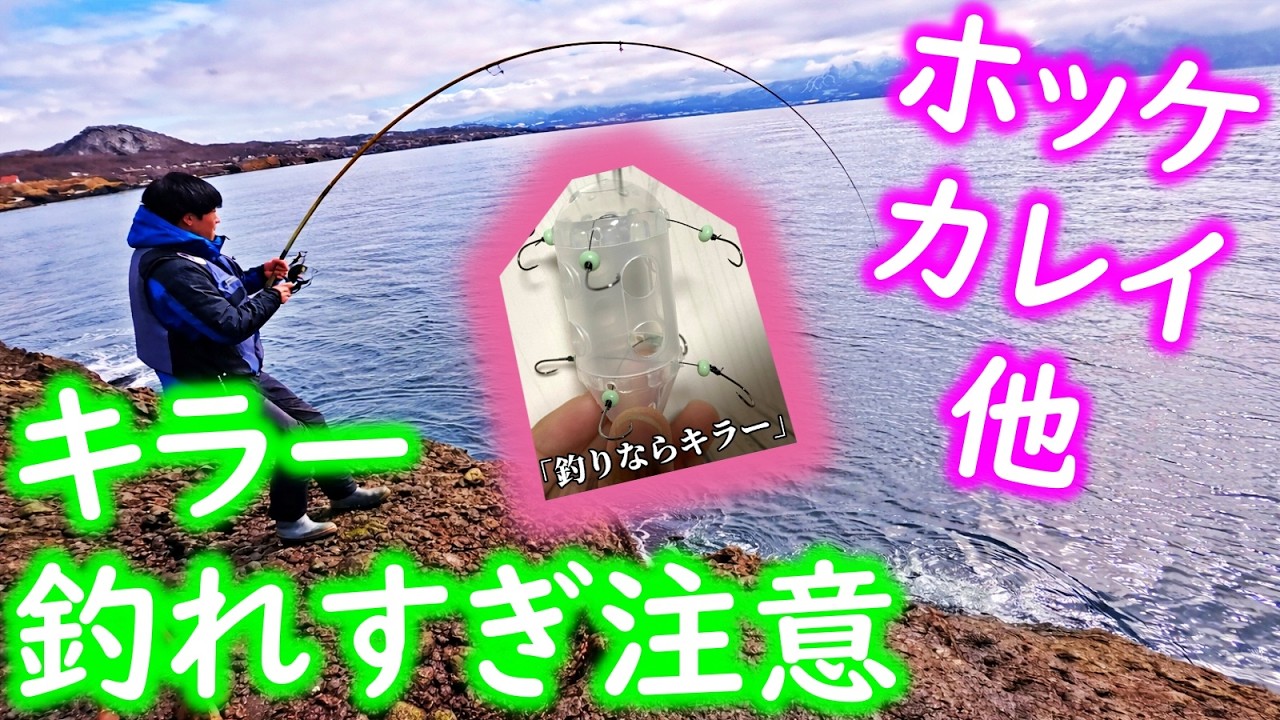 【釣り】北海道・ホッケ・カレイ・釣りならキラーを使ったら釣れすぎる：2026年3月