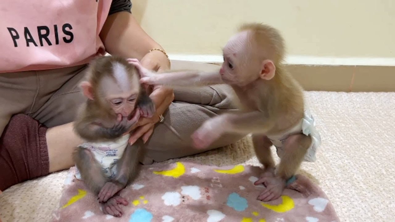 Chichi Naughty Jeal0us Little Linda With Mom Taking Care