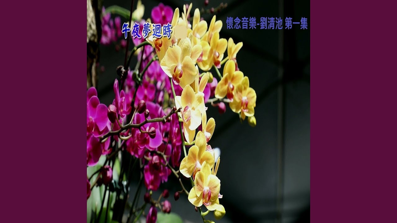 望月想愛人