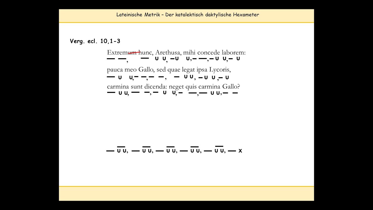Hexameter (Latein) erklärt – 1. Versmaß, Zäsuren, Dihärese