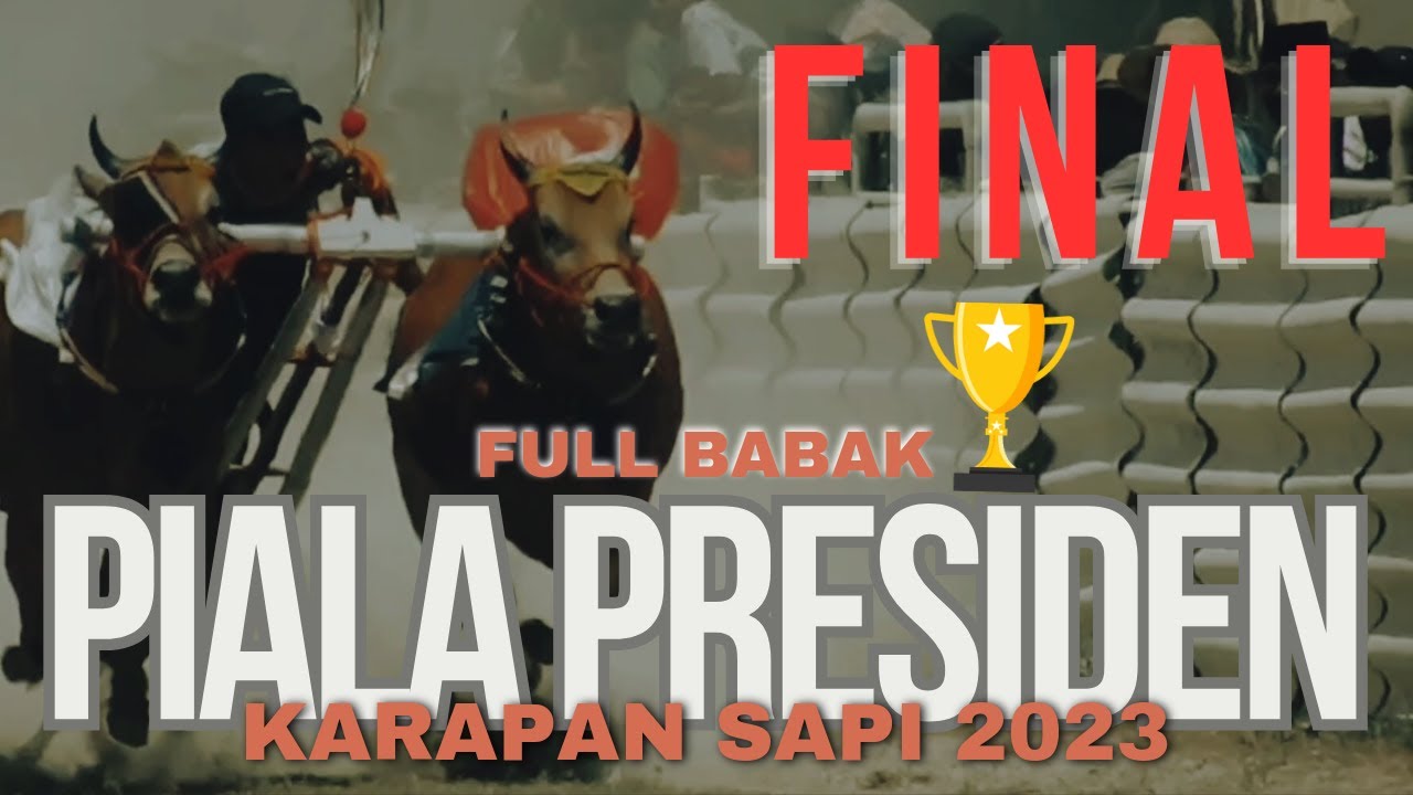 BABAK FINAL KARAPAN SAPI PIALA PRESIDEN 2023