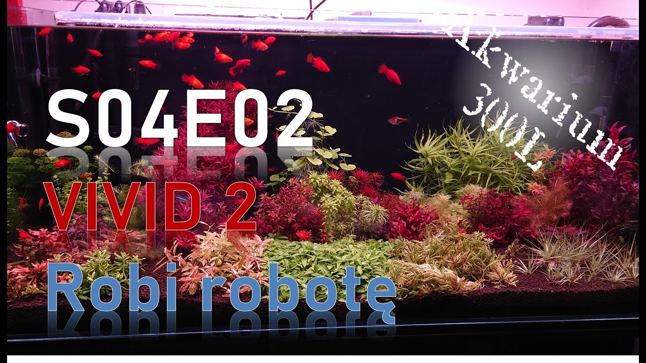 Vlog 2/2025 - VIVID 2 Robi robotę :)