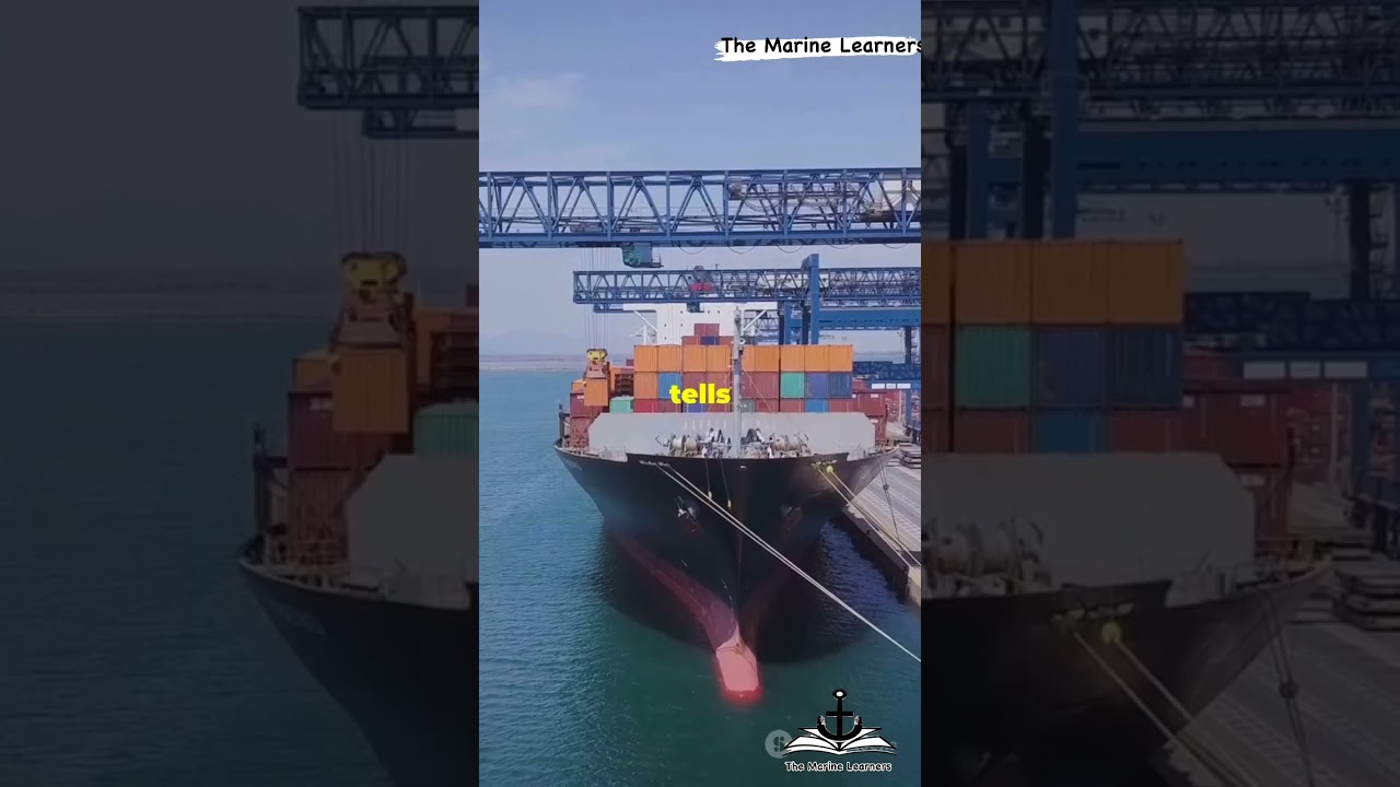 Essential Documents for Cargo Shipping 
