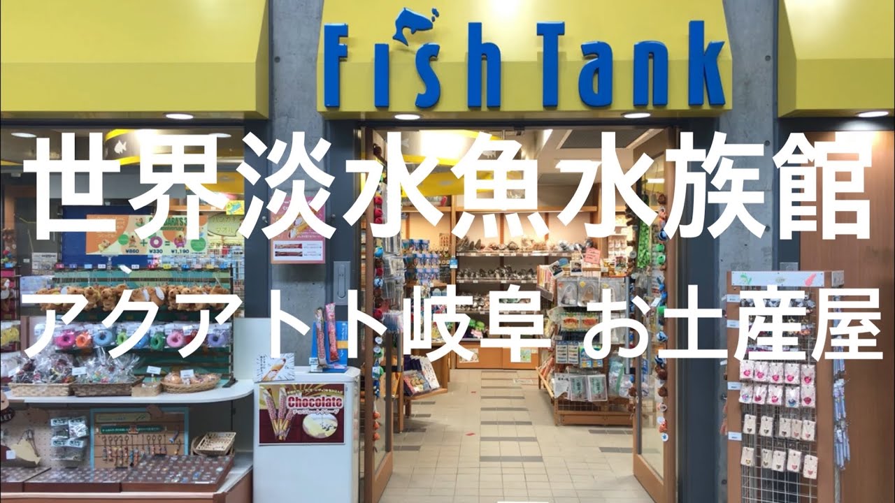 店内「世界淡水魚水族館 アクアトトぎふ お土産売り場 グッズコーナー」岐阜 愛知 名古屋 観光 旅行 熱帯魚 アロワナ ピラルク 巨大魚 カピパラ アシカ イルカ 限定 ナマズ 世界最大 ギネス サメ