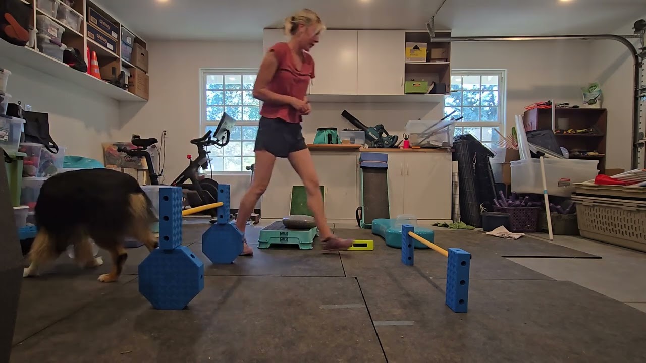 Year of Fitness  - Week 4 - Porter - over down crawl 