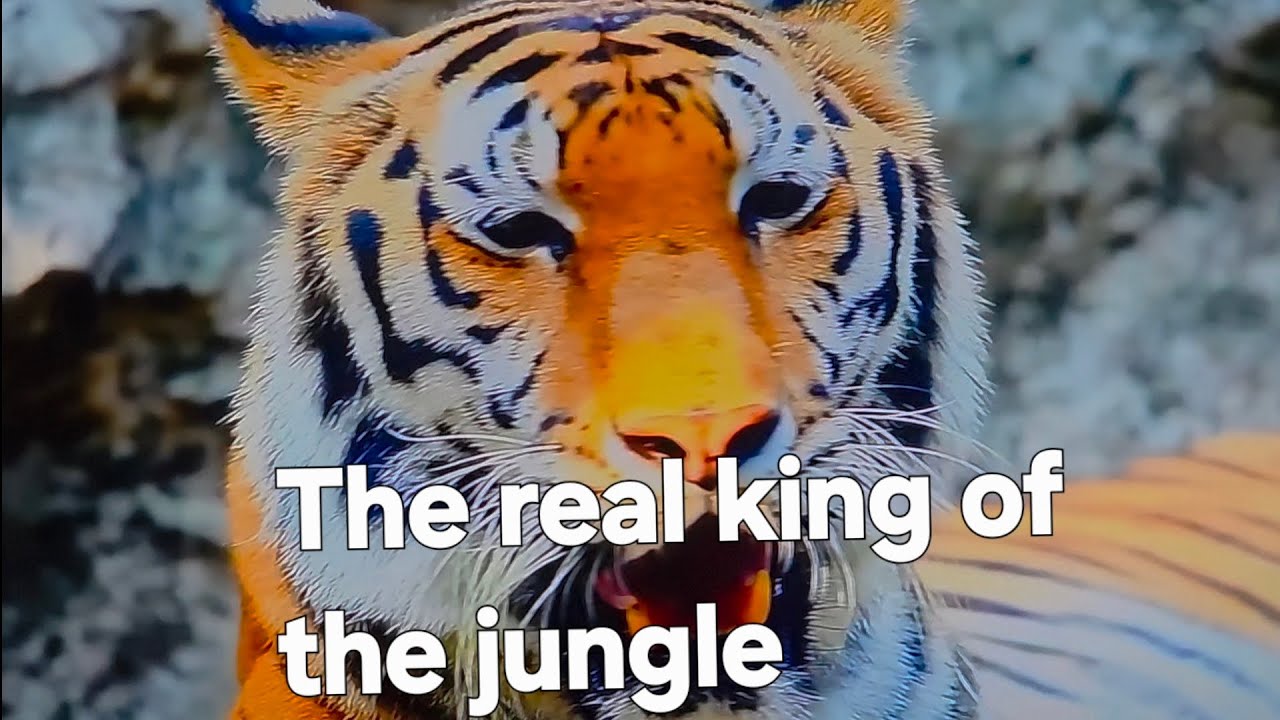 More powerful than you think