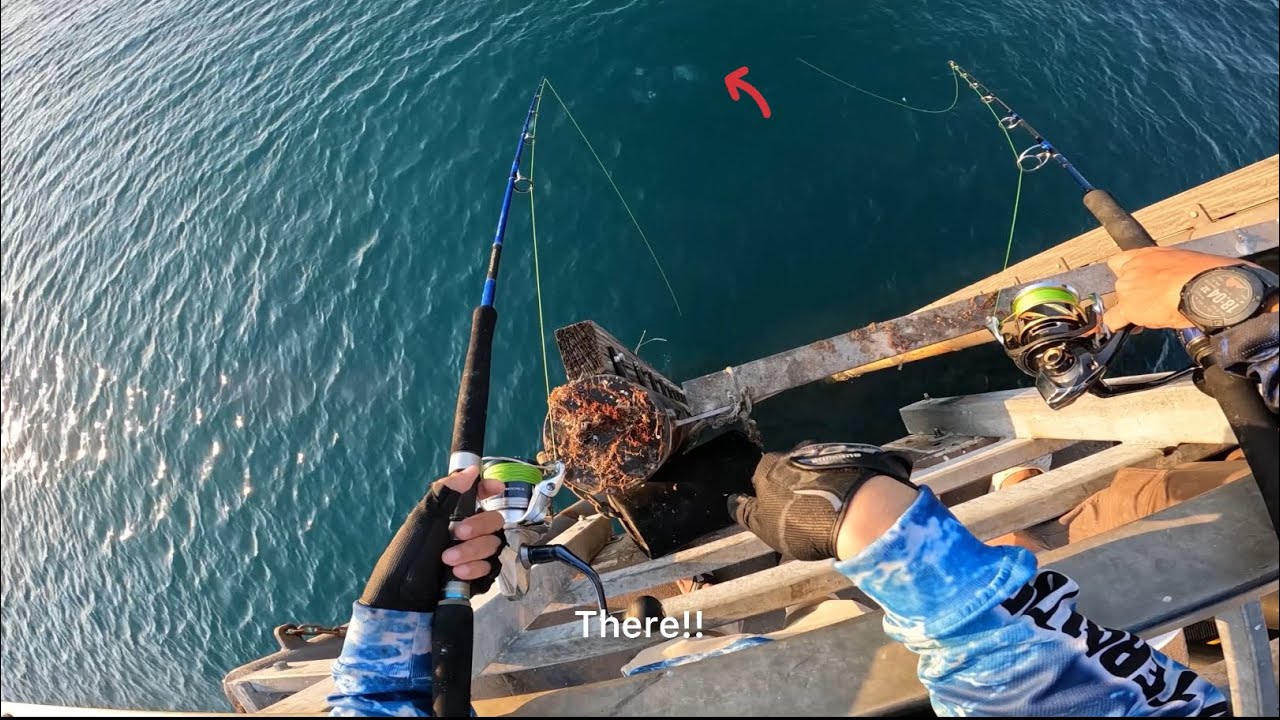 How to catch fish at Mandorah Jetty, Darwin NT. Darwin có gì vui??  1 ngày câu cá ở Mandorah tập 1!!