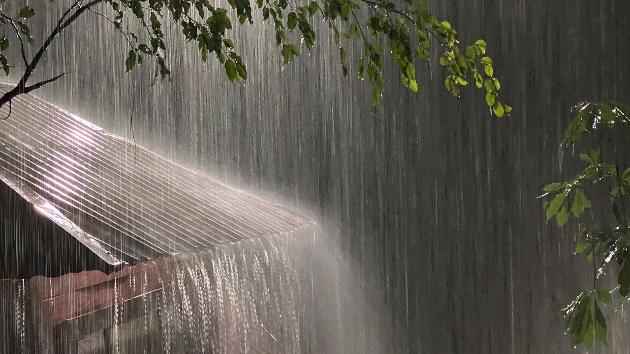 Fall Asleep in Under 5 Minutes with Heavy Rainstorm & Thunder at Night   Rain Sounds for Sleeping