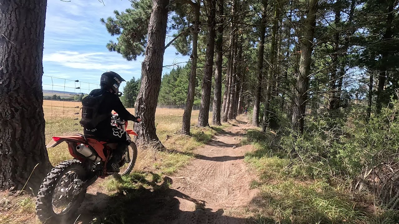 Amberley Trail Ride, Main Loop, Murray Downs, 02-03-2025