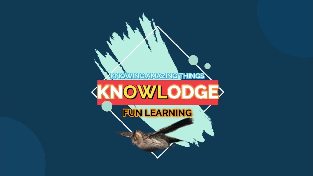 2ND INTRO | KNOWLODGE