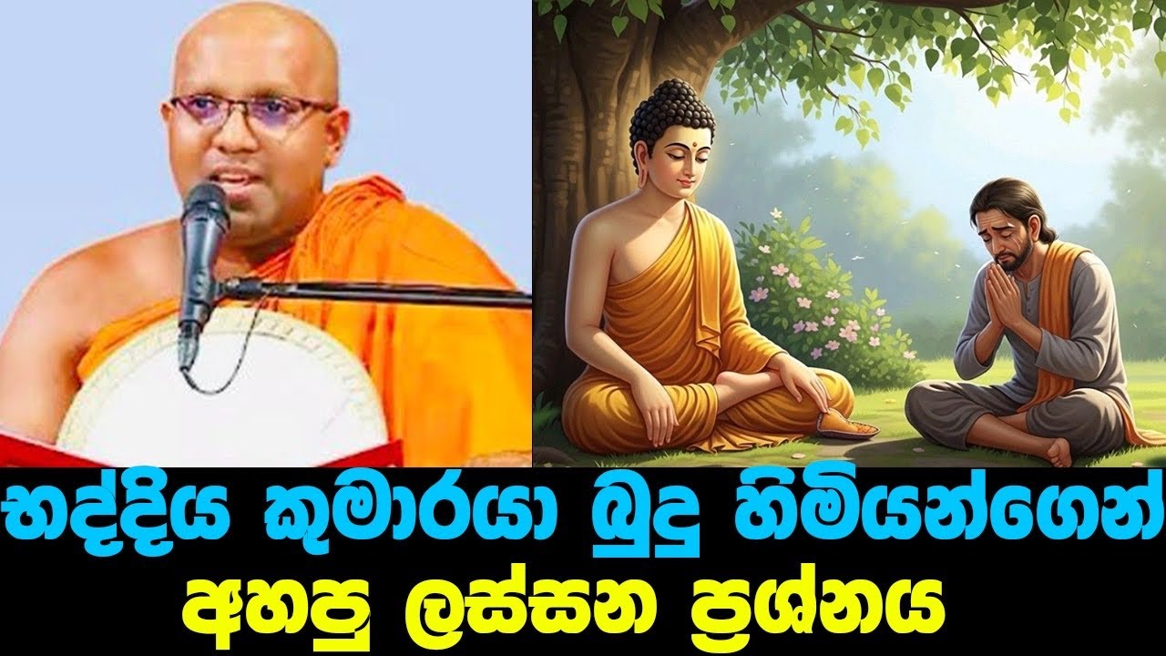 භද්දිය කුමාරයත් අවබෝධයට පත්කල ඒ ලස්සන දේශනාව ඔබේ ජීවිතයත් වෙනස් වේවි|#lKalaniye sasanawansa thero