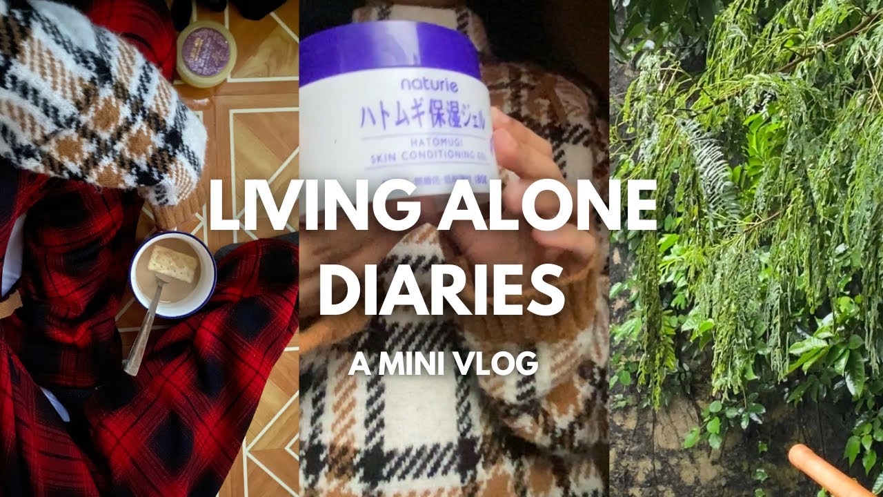 Living Alone Diaries | Cozy day, cooking meals, skincare, a mini vlog🤍