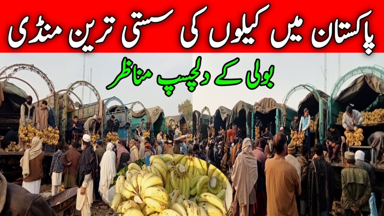 Fruits Mandi | پاکستان میں کیلوں کی سستی ترین منڈی | DehaTi VeeR 