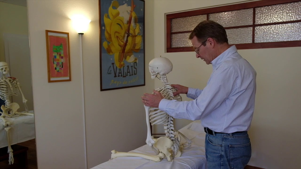 Hendrik Vlek - Lymphatics in Body Adjustment Part 1 | Institute of Classical Osteopathy