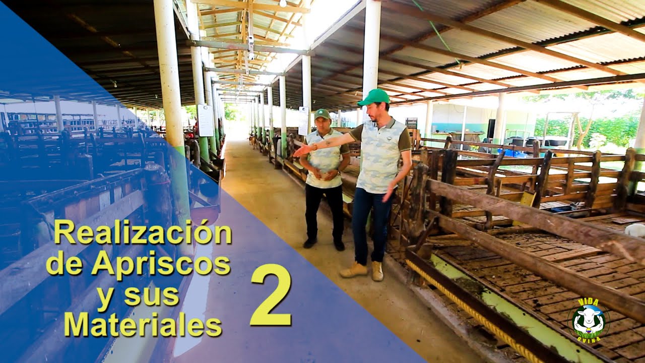 VIDA OVINA TV  40. Elaboración Apriscos II Parte