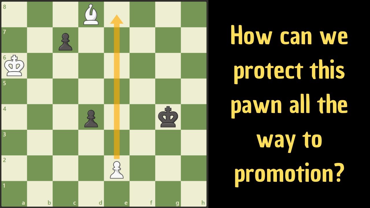 This study is very clever