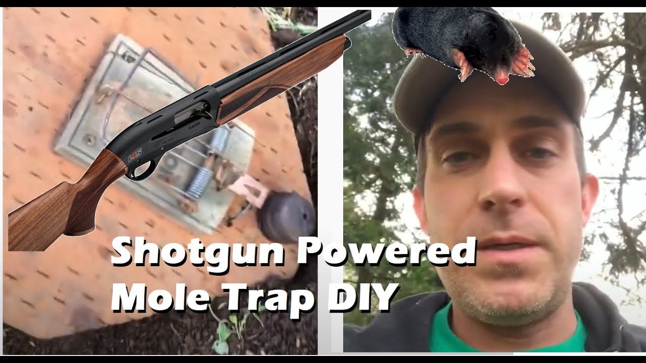Mole blaster!  DIY shotgun shell powered mole trap. Don&rsquo;t try this at home kids. Seriously. #mole