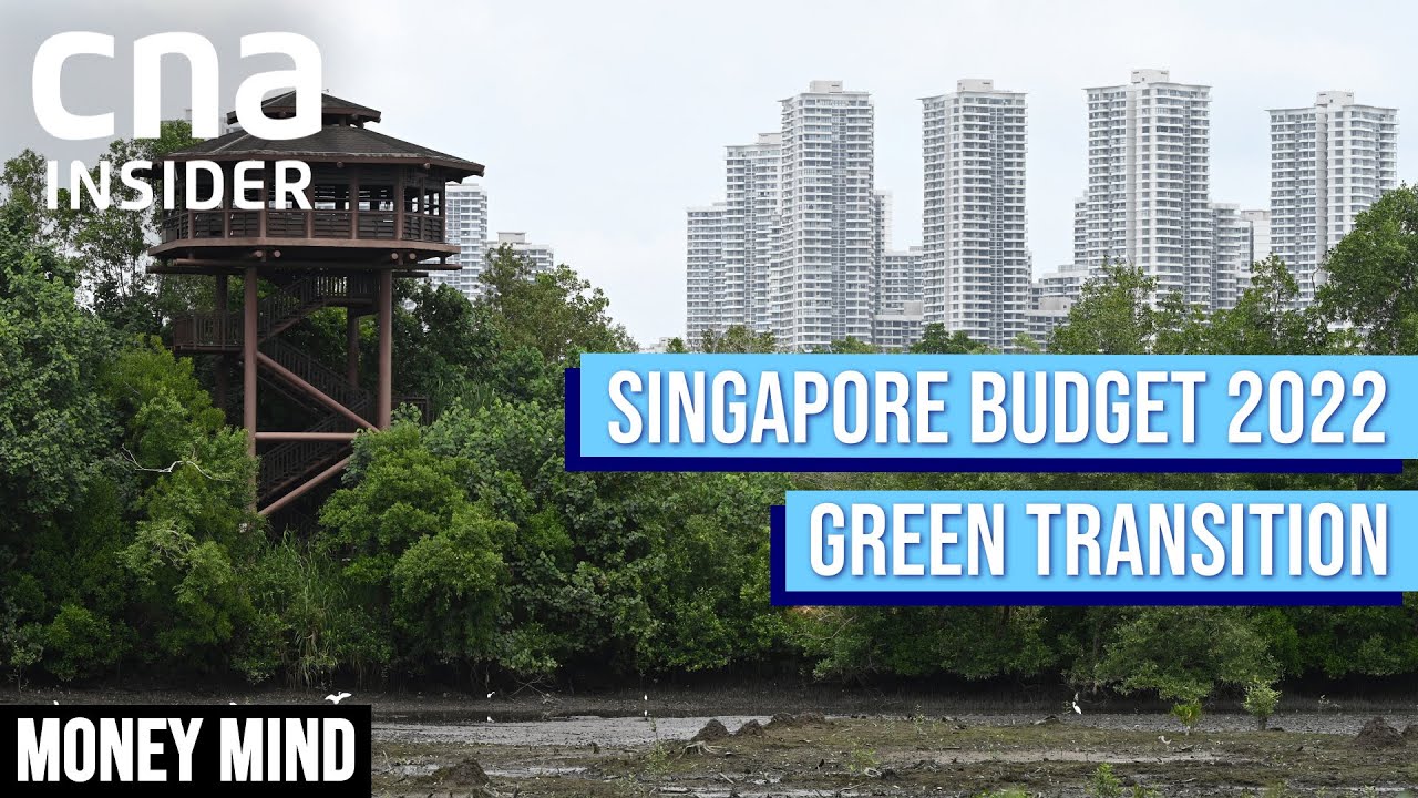 Will Carbon Tax Rise Be Enough To Hit Singapore&rsquo;s Green Goals? | Money Mind | Budget 2022