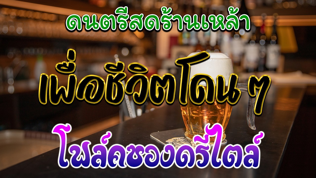 ไม่ดูพลาด 🔥 โฟล์คซอง ดนตรีสด เพลงร้านเหล้า เพื่อชีวิตโจ๊ะๆ คำเตือน อย่าฟังถ้าคุณยังไม่อยากลุกเต้